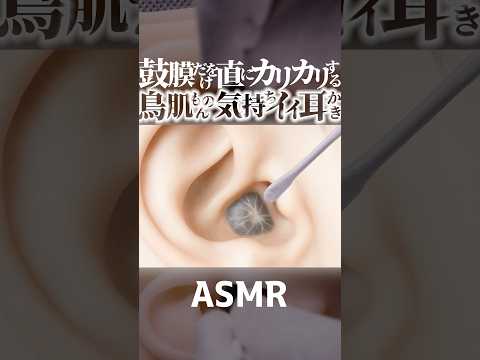 【ASMR】鳥肌が立つほど気持ちイイ鼓膜を直にカリカリする耳かき🥰ここでしか聞けないゾクゾクする特殊な耳掃除😂実際には絶対できませんので鼓膜を耳かきしたいという方はどうぞｗ🤤睡眠導入😪 #shorts