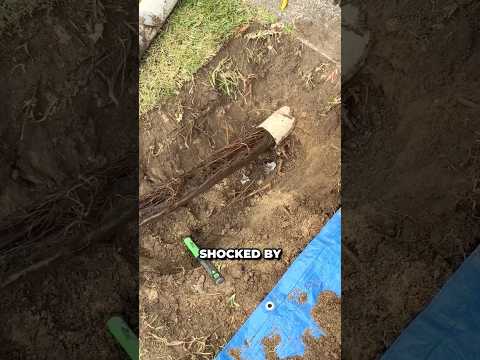 This Plumber Pulled A 100-Foot Blockage From This Pipe 🤯