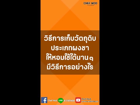 วิธีการเก็บวัตถุดิบประเภทผงชาใ