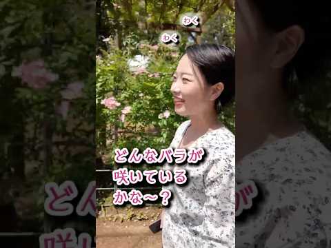 【#バラ 】佐倉草ぶえの丘バラ園をお散歩♪