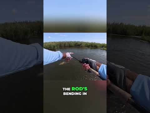 Epic fishing! Orange glow, giant fish, solo catch! video thumbnail
