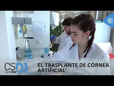 La Universidad de Granada realiza el primer ensayo clínico sobre trasplante de córnea artificial