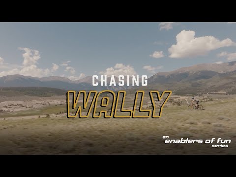 Chasing Wally