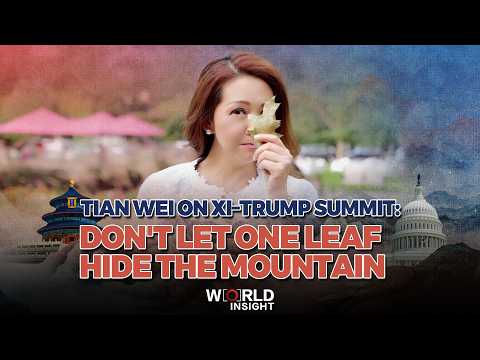 Tian Wei on Xi–Trump summit: Don't let one leaf hide the mountain