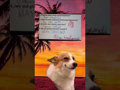 Uczeń rozwalił system 🤣 #shorts #memes #memy #śmieszne