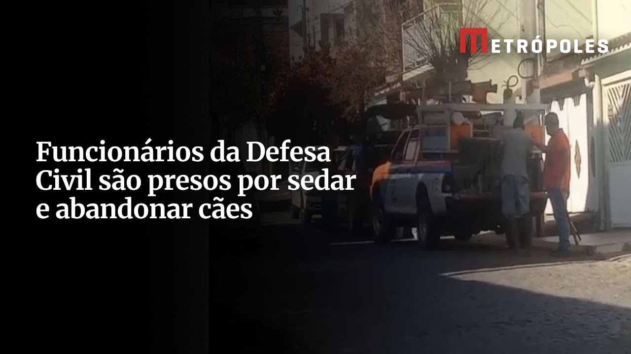Funcionários da Defesa Civil são presos por sedar e abandonar cães