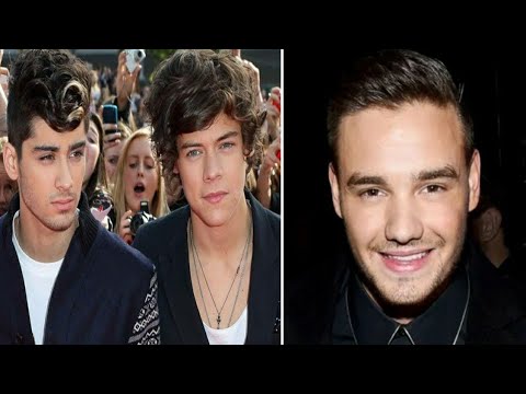 Harry Styles Reacts to Zayn Malik Cancelling US Tour Amid Heartbreak Over Liam Payne’s Death