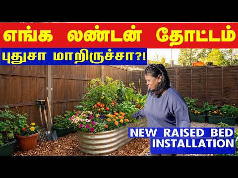 எங்க லண்டன் வீட்டு தோட்டமே மாறிபோச்சு?/Fixed our dreamed raised bed in our garden/இலங்கை கத்தரி கறி