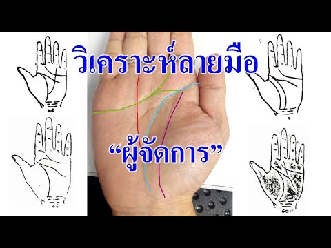 วิเคราะห์ลายมือผู้จัดการเรีย