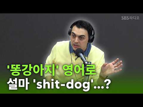 똥강아지, 영어로 진짜 그거일까 | 피터의 진짜 영국식 영어