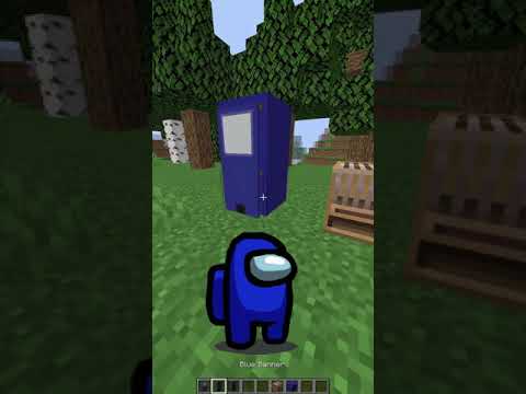 Minecraft Redstone and Build Ideas for 1.16!