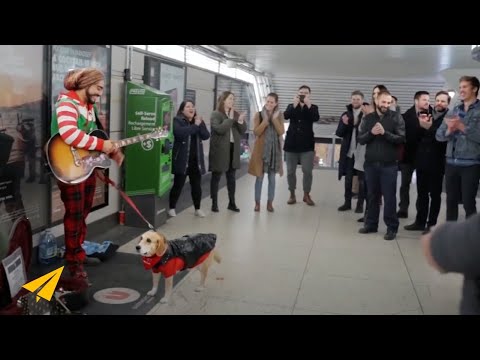 This Flash Mob Will Change Your Life