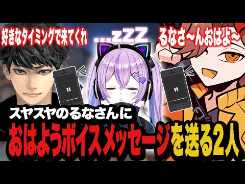 熟睡中の紫宮るなさんにおはようボイスメッセージを送りつける2人/兵役前のCptと何気に初のApex【Apex/エーペックス】