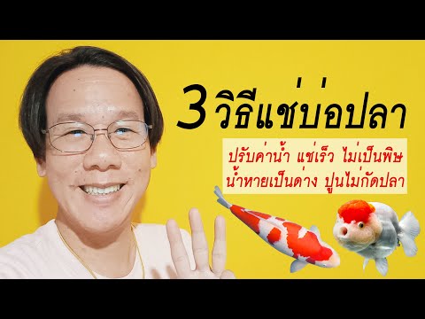 3วิธีแช่บ่อปลาปรับค่าpHไม่เ