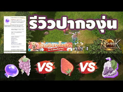 รีวิวปากองุ่นของปั๊มSPช่วยใ