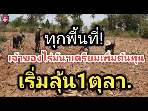 เตรียม!หาทุนเพิ่มเกษตรไร่มันฯ