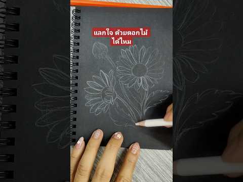 วาดดอกเบญจมาศหรือเปล่าflower