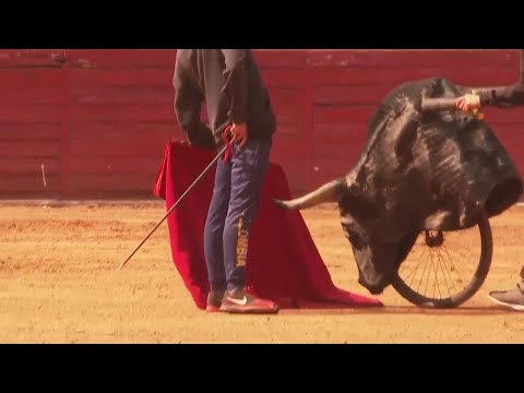 Return of bullfighting to Mexico City excites fans and upsets animal rights groups