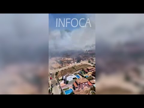 Un incendio en un paraje de La Línea (Cádiz) obliga a un desalojo preventivo