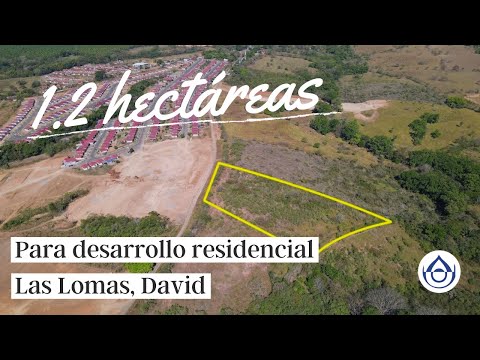 1.25 Hectáreas para desarrollo de Proyecto Residencial en Las Lomas, David, Chiriquí.. 6981.5000