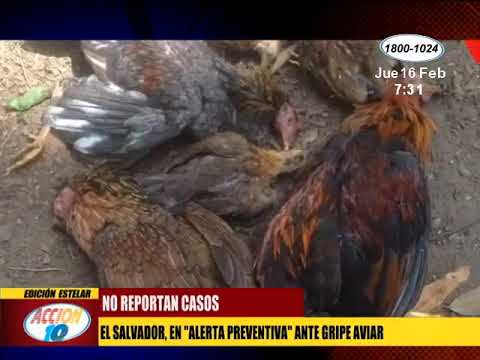 El Salvador, en Alerta preventiva ante gripe aviar