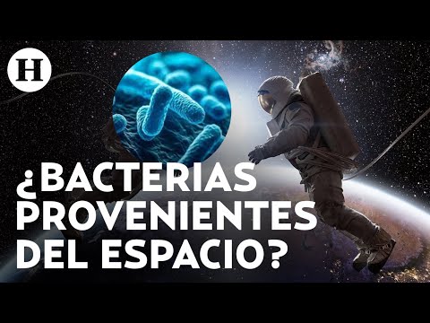 ¿Cómo llegó ahí? Hallan bacteria resistente a medicamentos en la Estación Espacial Internacional