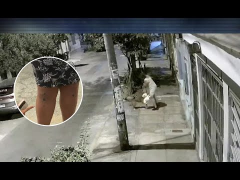 Cercado de Lima: Vecina pasea a su mascota y perros sin bozal casi la matan