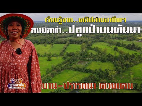 สามอาชีพ เพื่อมนุษยชาติ เรียนรู้จาก..คลิปสามอาชีพฯลงมือทำ..ปลูกป่าบนคันนาบานปรารถนาด