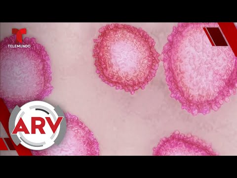 Reportan el primer caso del coronavirus en EE. UU. que ataca los pulmones | Al Rojo Vivo | Telemundo