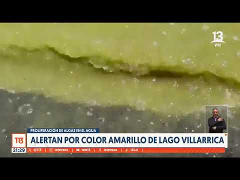 Alertan por color amarillo de Lago Villarrica