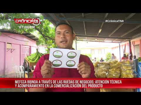 Desarrollan rueda de negocios con productores de plátano y derivados – Nicaragua