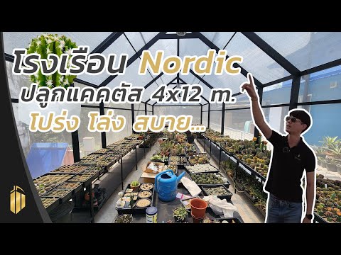 House   Home Greenhouse โรงเรือนนอร์ดิกปลูกแคคตัสแบบเน้นเรียบง่ายNodicGreenhouseทัวร