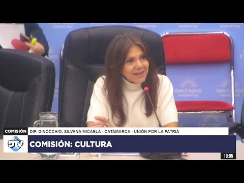 COMISIÓN EN VIVO: CULTURA - 30 de abril de 2024 - Diputados Argentina