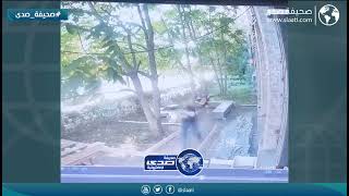 دب يفاجئ شابان