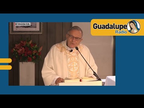 ¿Qué nos dice hoy la palabra de Dios?