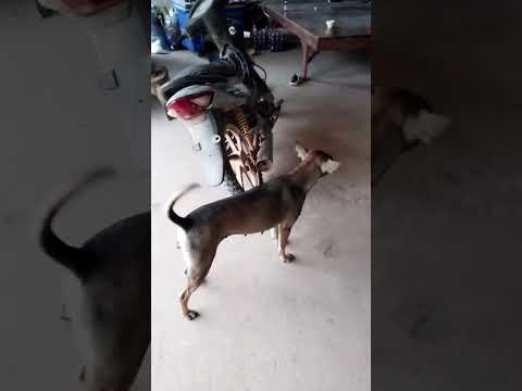 สนิมกินข้าวเสร็จเตรียมขึ้นเขาไ