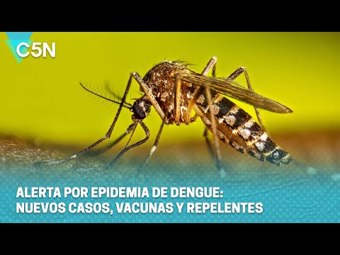 ALERTA por EPIDEMIA de DENGUE: NUEVOS CASOS, VACUNAS y REPELENTES