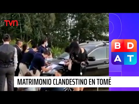 Tomé: Fiscalizan matrimonio clandestino con más de 60 asistentes | Buenos días a todos