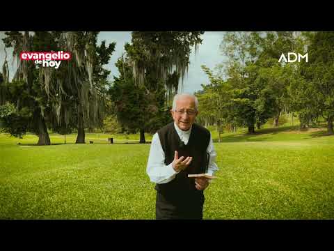 Evangelio de hoy Viernes 4 de Octubre Padre Efrai?n Arquidio?cesis de Manizales