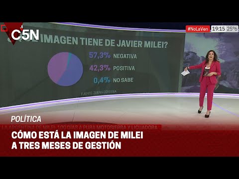 Casi el 90% de los ARGENTINOS considera que el AJUSTE de JAVIER MILEI lo estamos PAGANDO TODOS