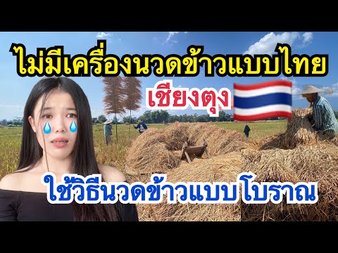 ไม่ทันสมัยเหมือนไทย🇹🇭ชาวนาเชี