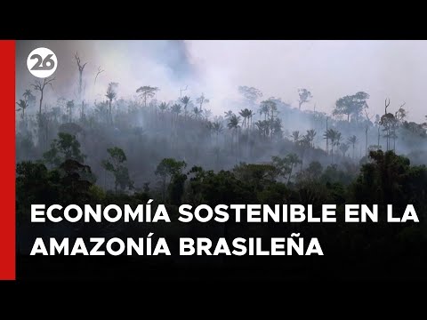 Lula da Silva recibió a Macron en la Amazonía para impulsar proyectos de economía sostenible