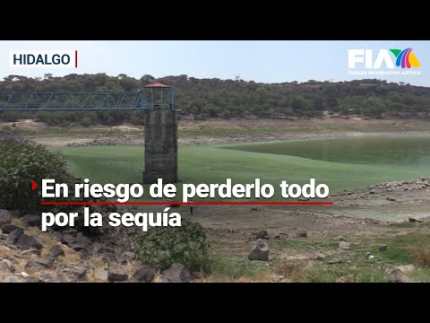 #VivirSinAgua | Presa Requena resiente la crisis hídrica y su fauna muere