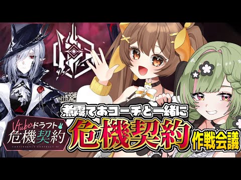 【アークナイツ】煮霧てあコーチと一緒にVtuberドラフト危機契約の作戦会議【 arknights 】