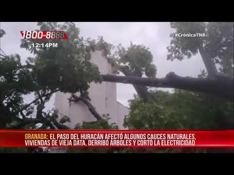 Fortaleza La Pólvora en Granada sufre daños por caída de árbol - Nicaragua