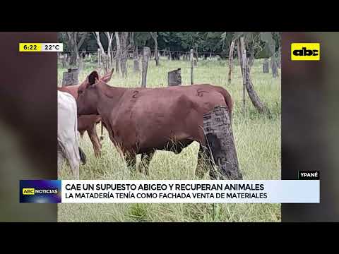 Ypané: recuperan animales y detienen a presunto abigeo