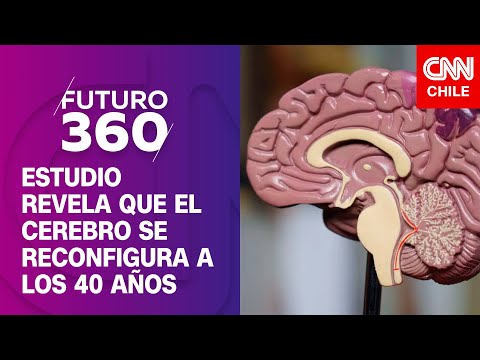 La reconfiguración del cerebro a los 40 años | Bloque científico de Futuro 360