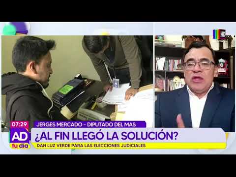 Dan luz verde para las elecciones judiciales