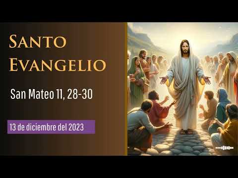 Evangelio del 13 de diciembre del 2023 según san Mateo 11, 28-30
