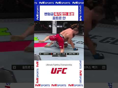 밴텀급 육각형의 표본 #UFC